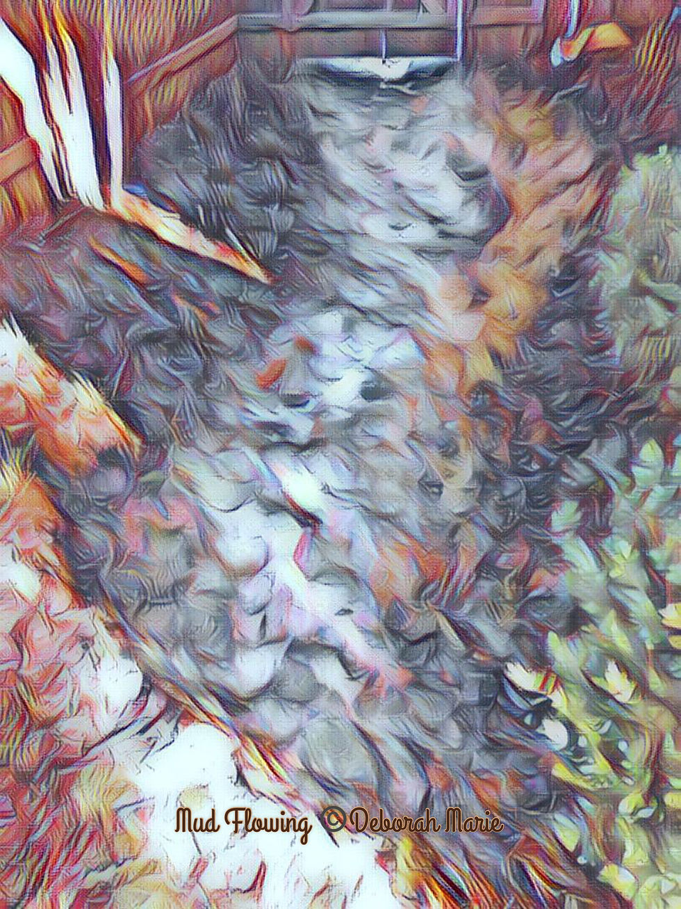 Muddy Water