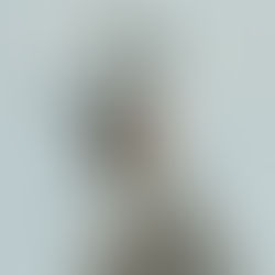 NFTs: Buzz, Fakes and complications