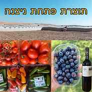 תוצרת פתחת ניצנה