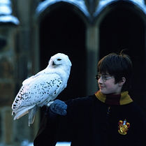 WhatsApp Image 2025-08-14 at 20.37.38 (1).jpeg