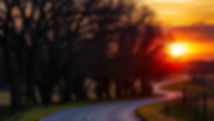winding country road lined with trees and a sunset.jpg
