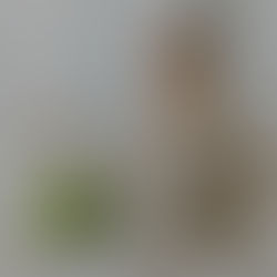 Bénéfices du massage assis et de la sophrologie en entreprise