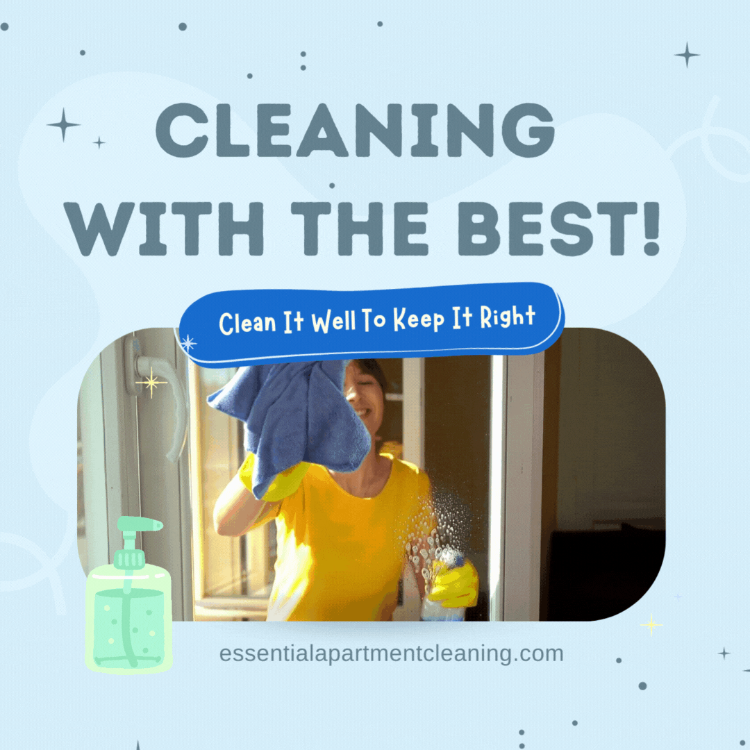 Professional Cleaner GIF.gif