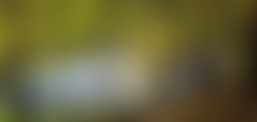 Kleine Entspannung nach der Arbeit oder in der Mittagspause