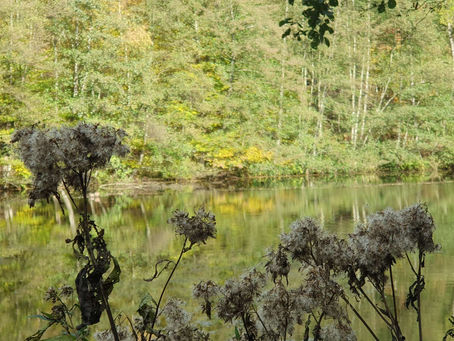 Beginne die Woche mit einer kleinen Auszeit für Dich