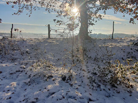 Quiz zu Weihnachten mit Verlosung und Preisen