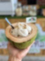 Coconut Ice Cream