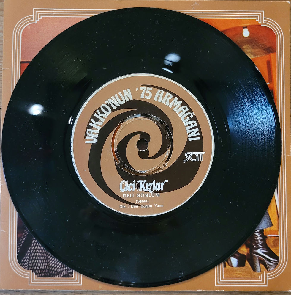 Küçük resim: Cici Kızlar – Gençlik ve Vakko İçin Söylüyorlar 1975 45LİK