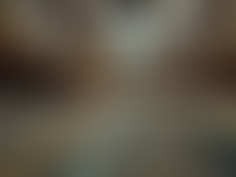 Online Plak Koleksiyonu Oluşturmanın İpuçları