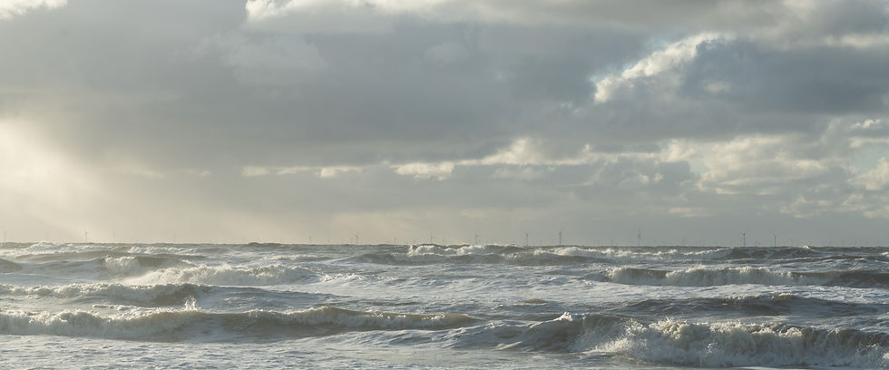 DSC_3673.jpg
