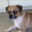 Tobie