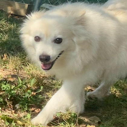 Finley