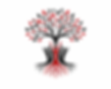 ChatGPT Image Jul 9, 2026, 11_48_57 AM.png