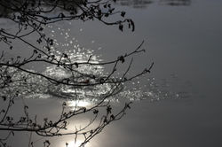 8629600064_6a239194cd_o.jpg 2015-2-24-18:5:55