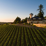 WVV-Estate-and-Vineyard-at-Dusk_Andrea-Johnson_cb8b6705-5056-a36a-0844dbb97e97ac08.jpg