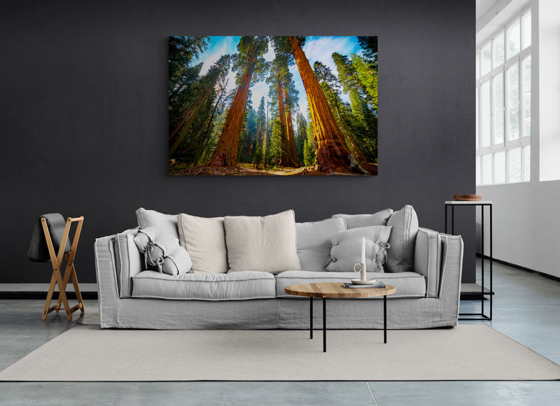 Thumbnail: Reach for the Sky