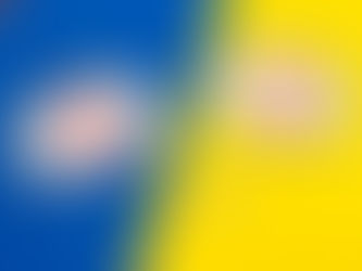 自社の強みを伝えていますか?