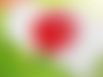 どうした日本人…
仕事に対する意識が低い!