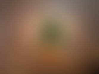 市場規模1/2は当たり前!深刻な市場縮小