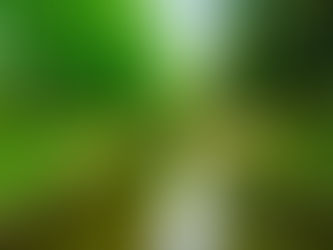 社長と社員の溝、社長と社員の温度差