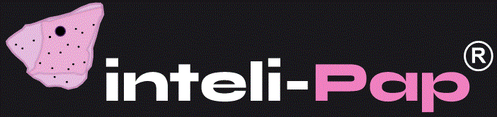 logo intelipap Negro alternativo 10.gif