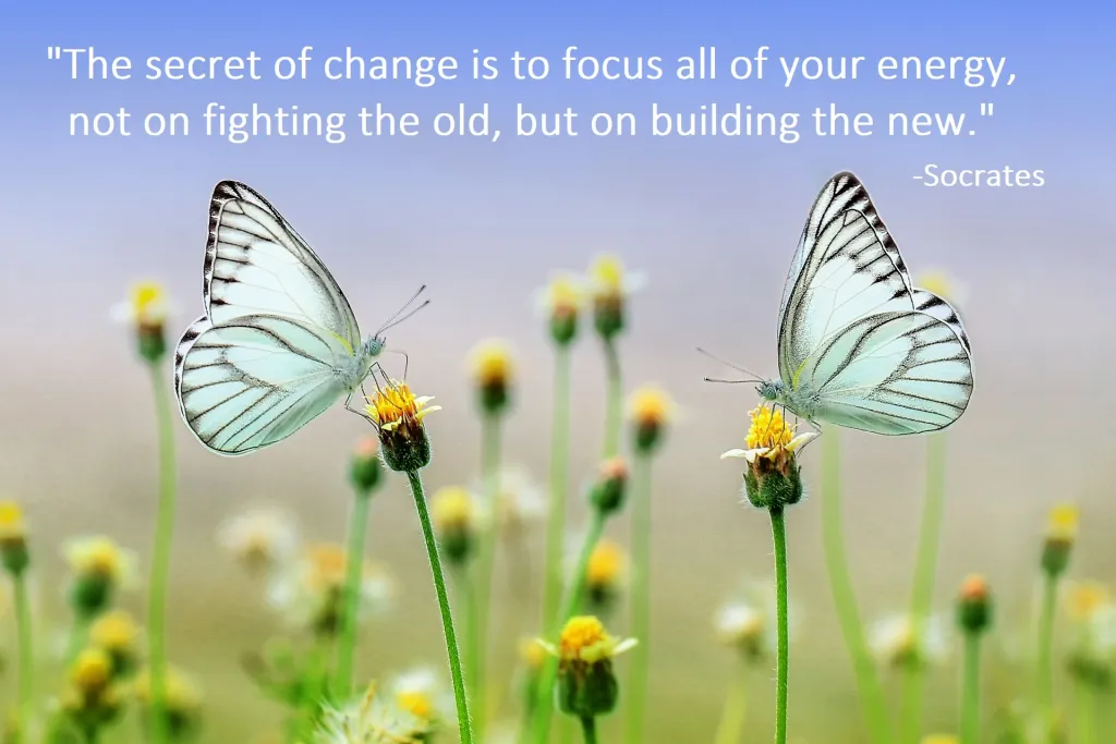 7-5-2017-change-butterfly.webp