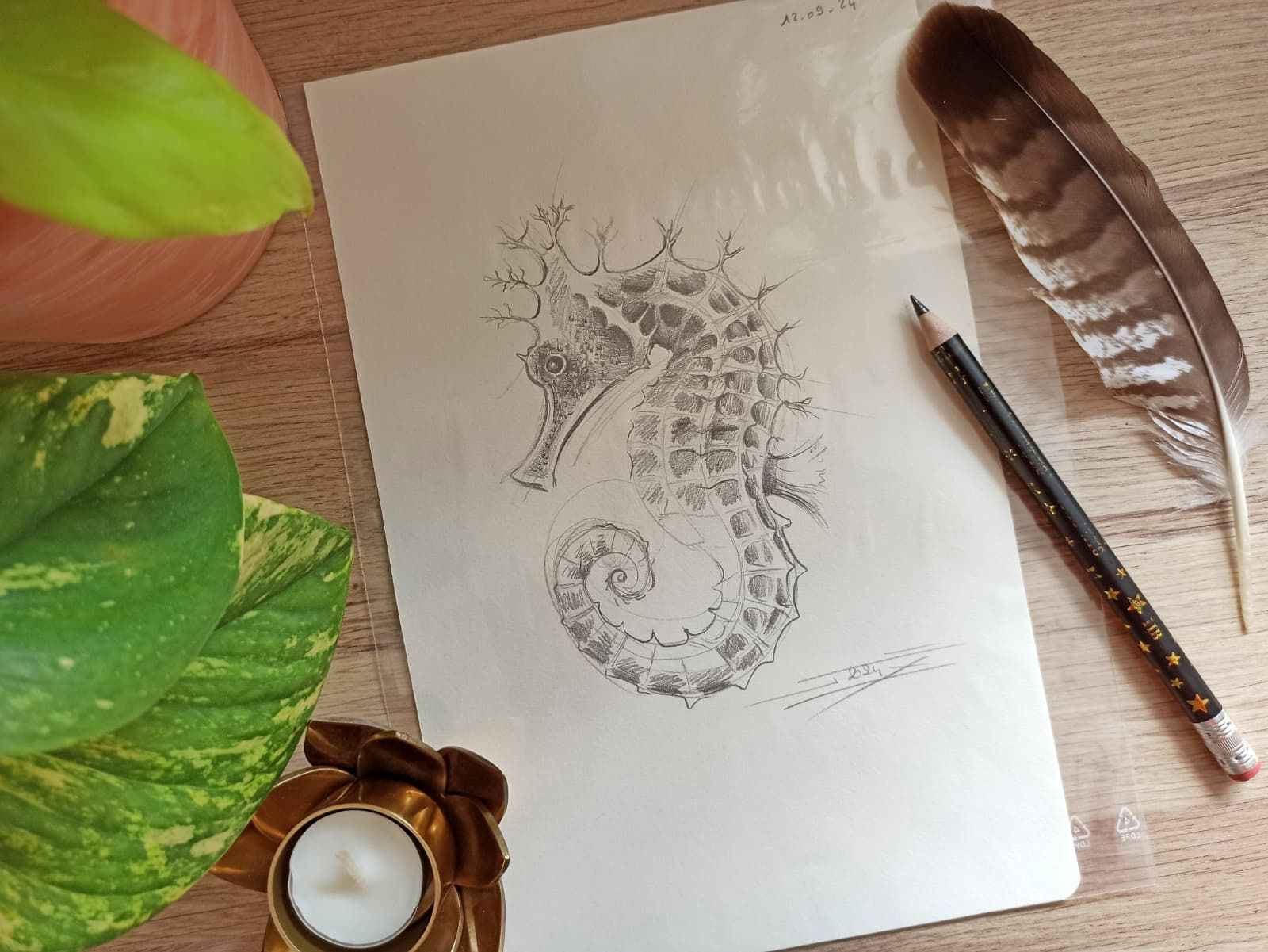 Hippocampe dessin croquis crayonné esquisse sketchbook carnet artiste peintre animalier Jessica Sansiquet art engagé