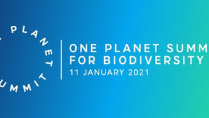 Minister Noonan attends 'One Planet Summit for Biodiversity'