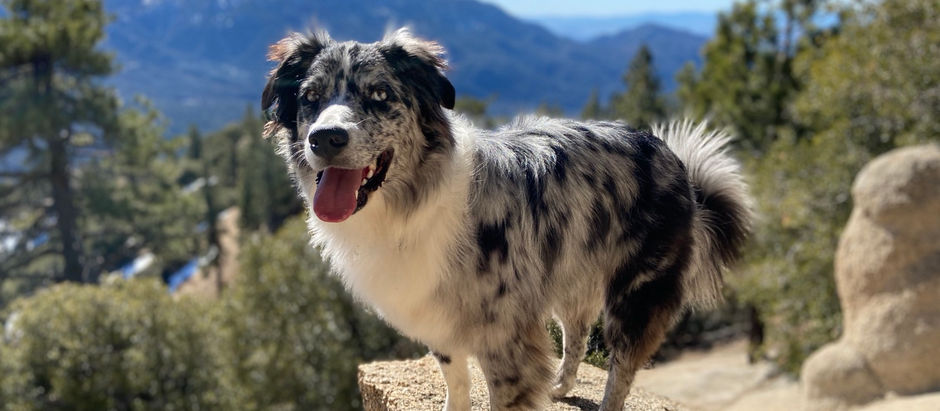 Big Bear Weekend Getaway