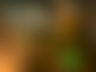 The Sky We Carried: An Ancient Warning