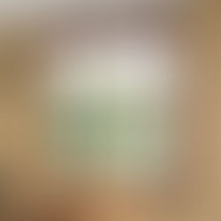 Tipos de Janela: Saiba quais escolher