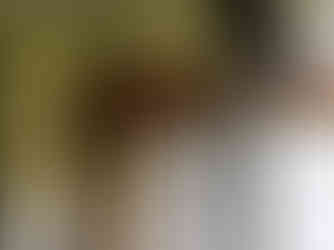 shovels and other garden tools with long handles hanging together on a wall