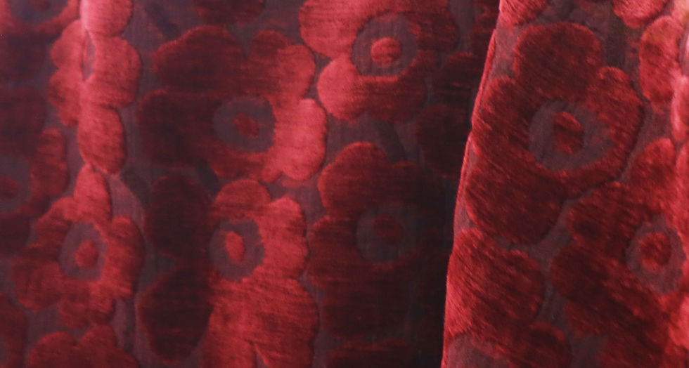 縮圖：FaFa Red Blouse