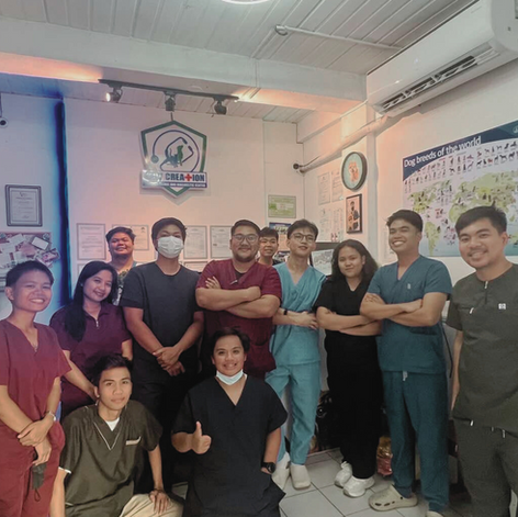 Beyond Medicine: The Human Side of Veterinary Care