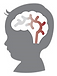brain.png