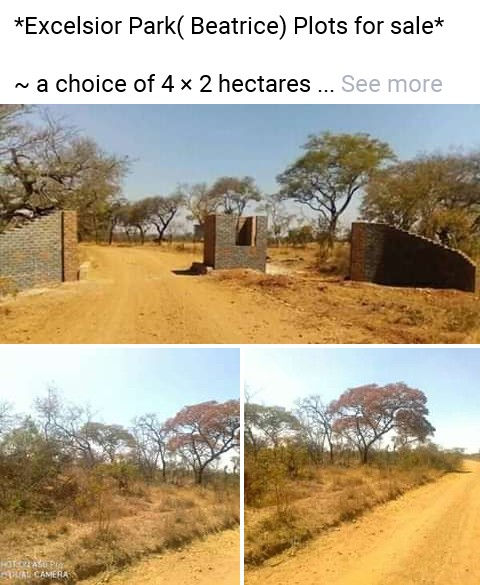 4X2ha Beatrice plots - 18k each