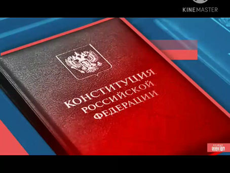 Видео-обзор "День Конституции"