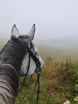 signal-2025-07-26-16-54-53-421-10