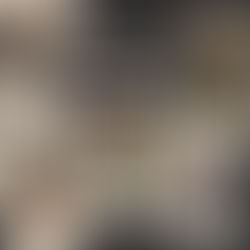 Prep for Pom: February 1, 2025