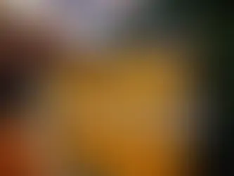 How to Save Money While Booking Homestays in Shimla – Smart Traveler Tips