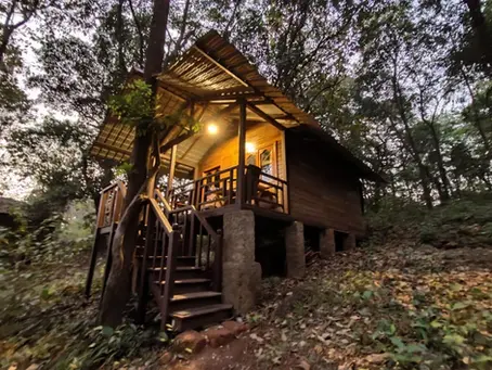 Why Winter Is the Best Time to Book Homestays in Goa – Seasonal Travel Tips