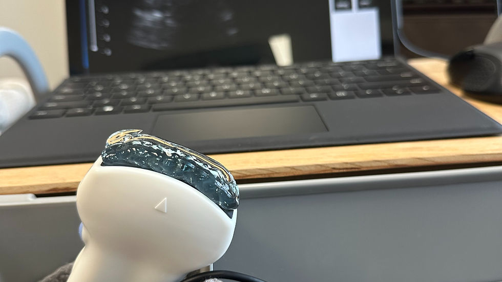 Clinical set up for ultrasound assessment and visualization.