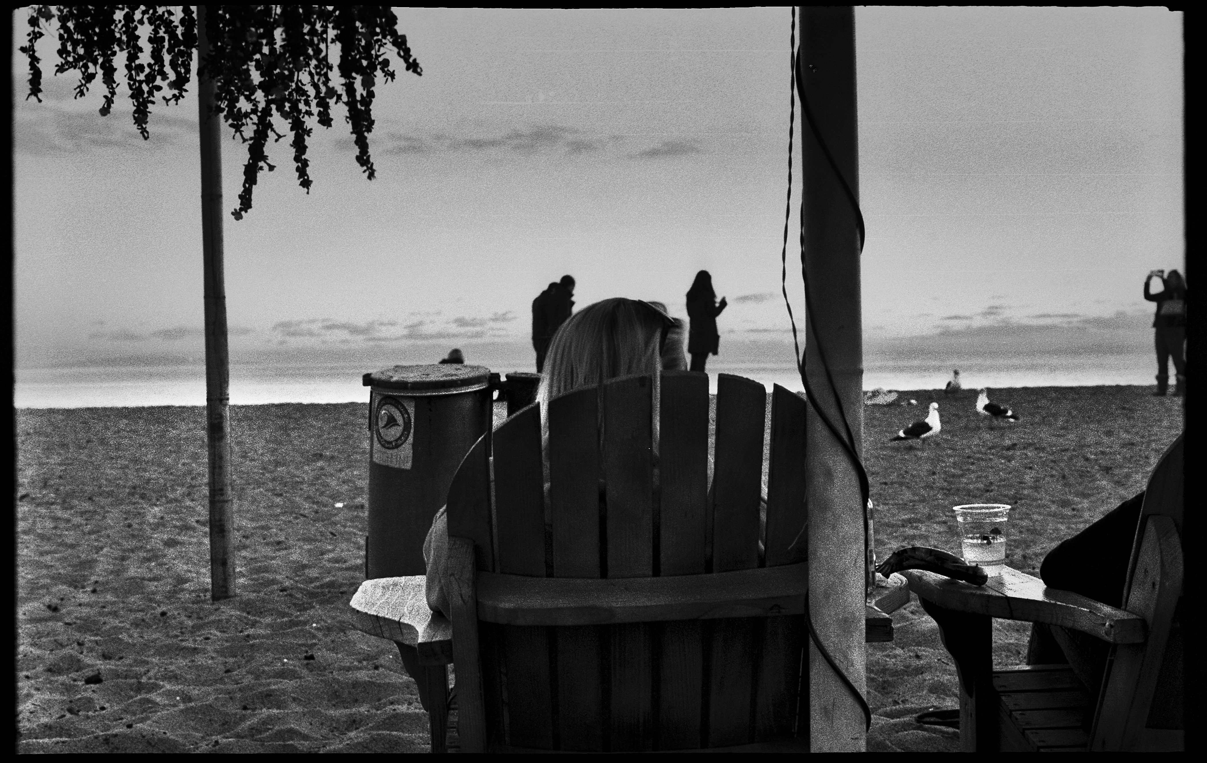 Paradise Cove - Malibu