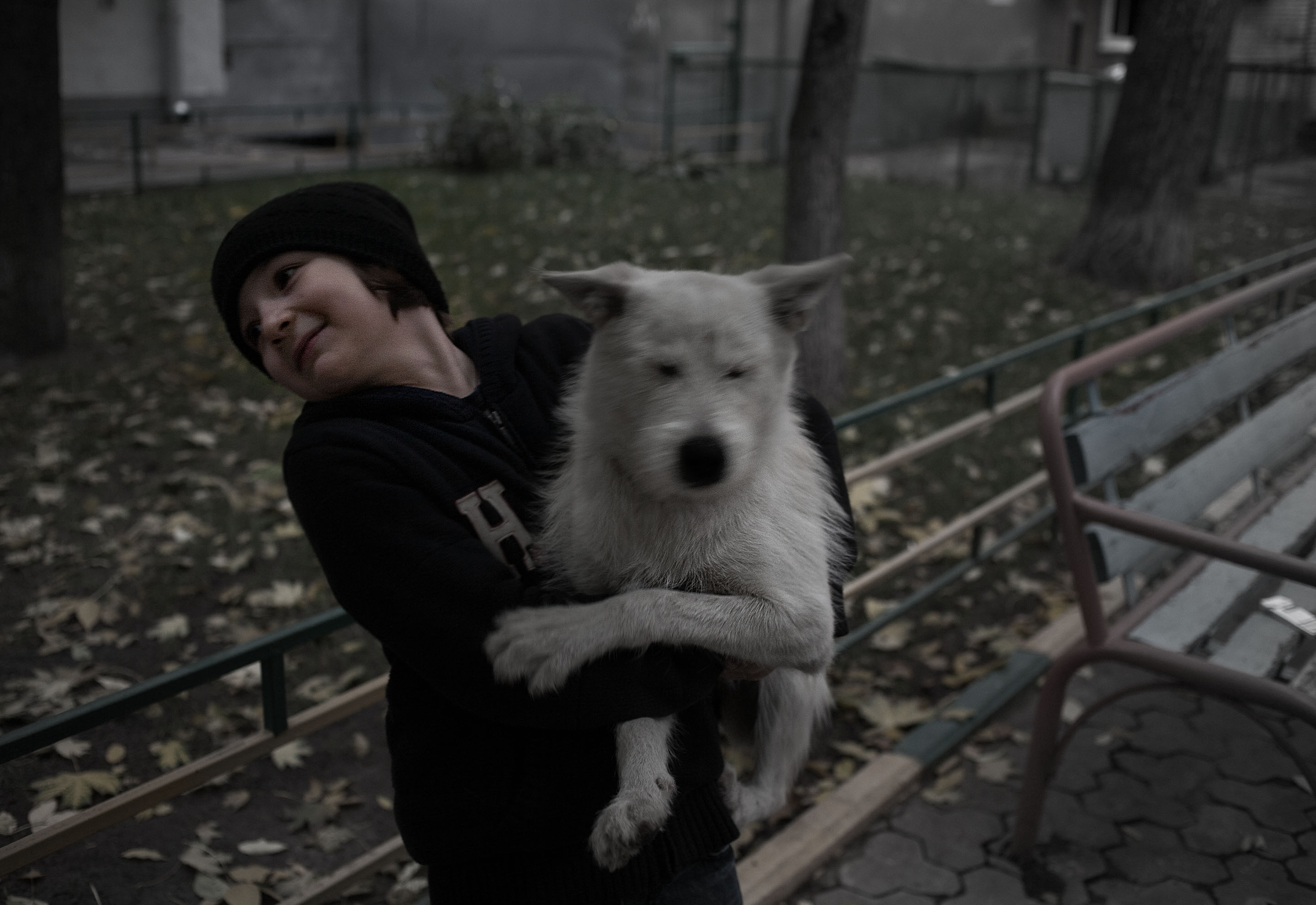 boy and dog - Moscow