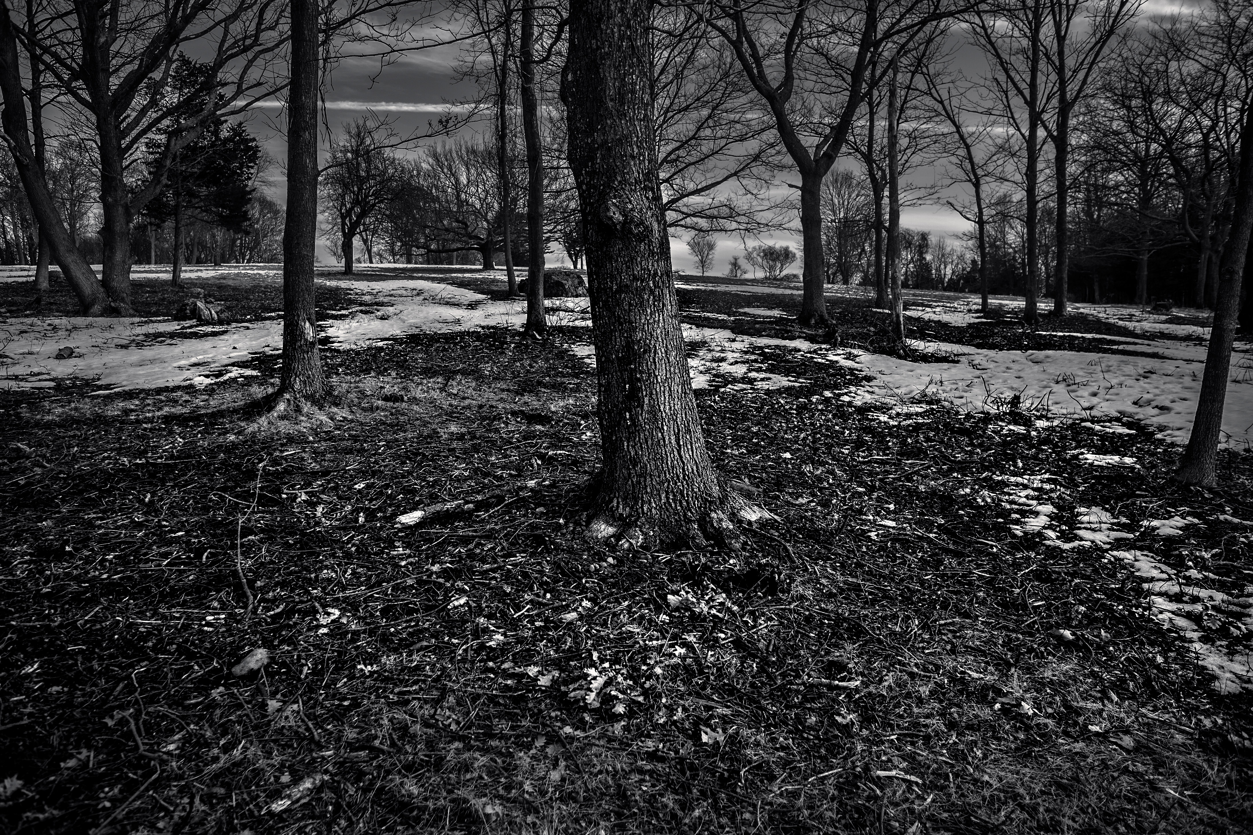 world's end park - Hingham, Ma 2017