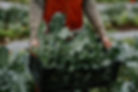 BlueRavenFarm_Fall2020_studioxiiiphotogr