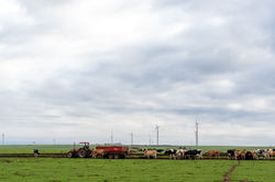Techni Electrical and Hubble Energy Dairy Farm Installation High Voltage Batteries