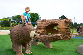 bear themed playground