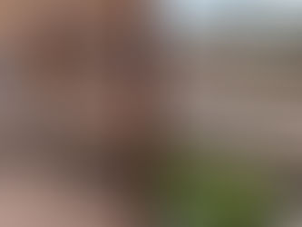 GOBIERNO DIÁFANO Y TRANSPARENTE 