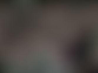 EL PODER SIN CONTROL NI ÉTICA, ENCANDILA 